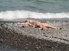 Отдыхающая на пляже в Сочи голая женщина разозлила общественность 