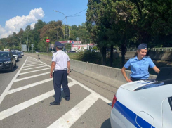 Более 40 водителей-должников выявили в Адлерском районе Сочи