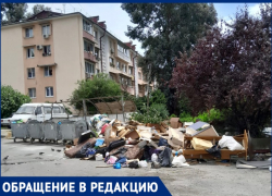 Жительница Сочи зафиксировала на камеру горы бытовых отходов: «Вот такой мусорный коллапс»