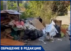 Жительница Сочи в ужасе от мусорных завалов города: «Это как вообще, нормально?»