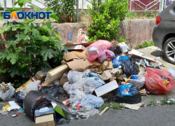 1300 тонн мусора вывозят из баков Сочи ежедневно 