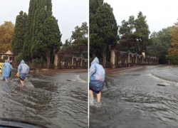 После сильного ливня в Сочи затопило дороги 