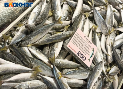 «У нас много своей рыбы»: продавцы высказались о ситуации с морепродуктами в Сочи
