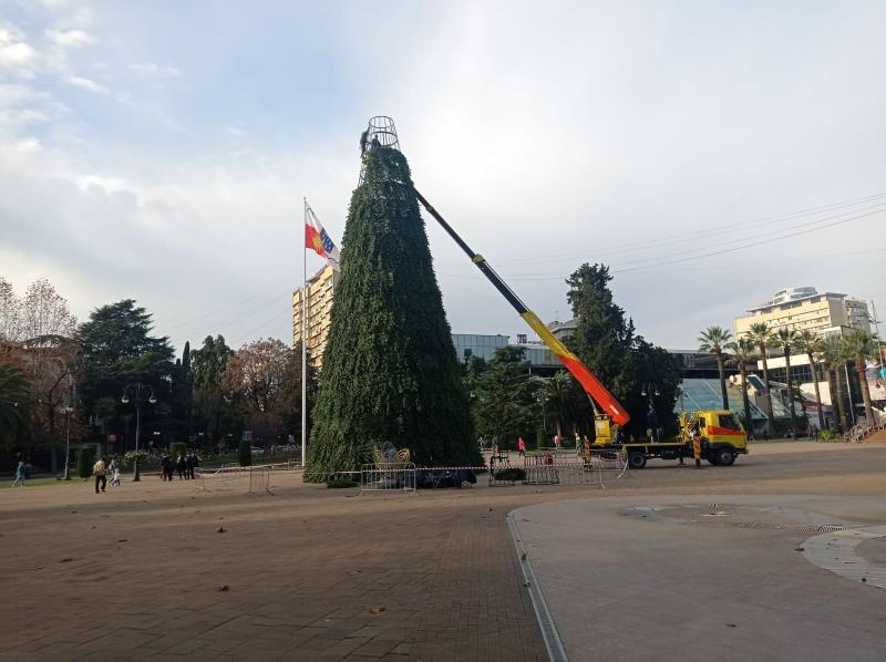 В центре Сочи установили главную новогоднюю елку