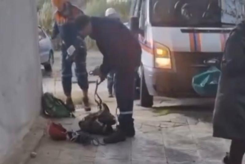 Неизвестные бросили собаку в 50-метровую затопленную шахту в Сочи