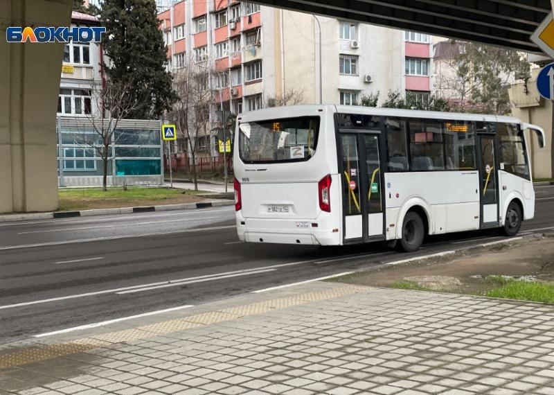 Более 2,5 тысяч нарушений в сфере пассажирских перевозок зафиксировали в Сочи