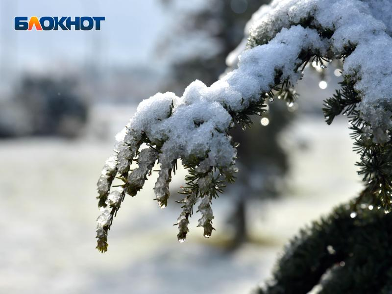 «Климат меняется»: мартовский снег шокировал жителей Сочи