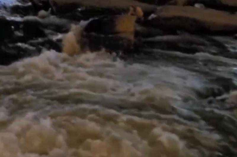 Неизвестный мужчина устроил январский заплыв в реке Сочи