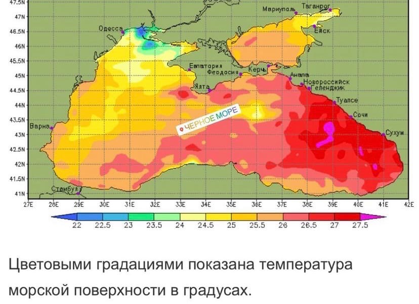 температура в черном море.jpg